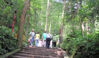 都江堰青城山一日游