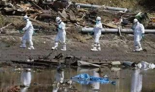 日本核废水最先流向哪里