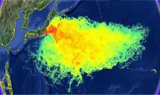 日本核废水最先流向哪里